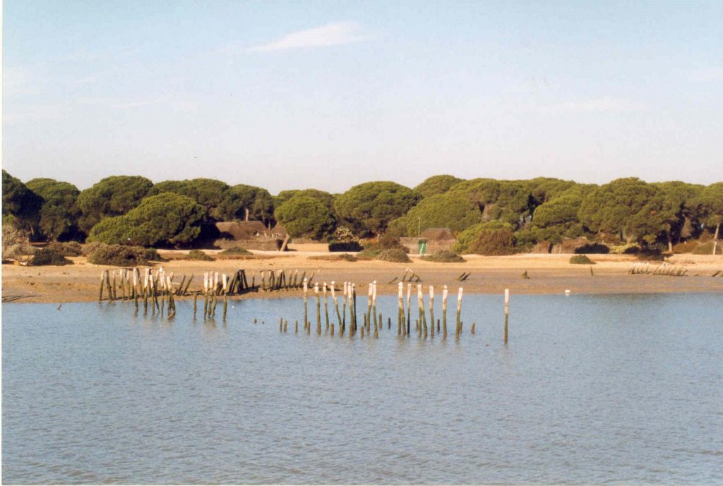 Doñana