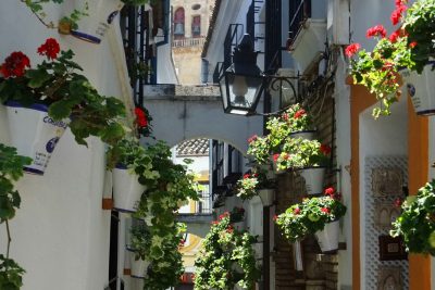 Calleja Patios de las flores Córdoba