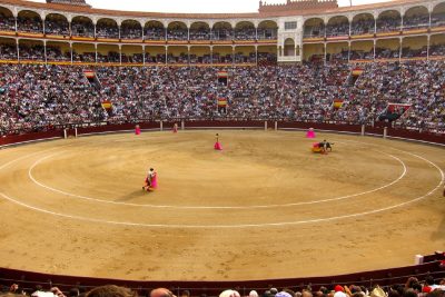 Novillada en las ventas